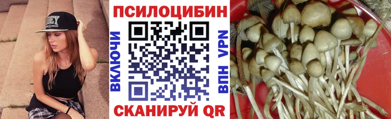 Галлюциногенные грибы мицелий  Липецк 