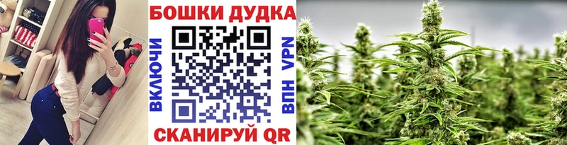 Бошки марихуана SATIVA & INDICA  как найти закладки  Липецк 
